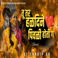 Tu Tar Haldine Pivli Hoti g - Dj Sandip SB