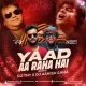 Yaad Aa Raha Hai (Remix) - DJ TNY DJ Ashish Saha