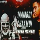 Taamdi Chaamdi - Remix - Dj Parsh Mumbai