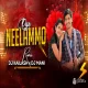 OYE NEELAMMO  - MIX - DJ KAILASH MBNR DJ MANI REMIX