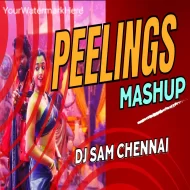 Pushpa 2 - Peelings Mashup - DJ SAM CHENNAI