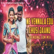 NE YENNALA EDU CHUSI JAANU FOLK SONG 2024 - EDM MIX -  DJ NAVEEN SMILEY