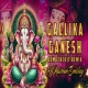 GALLI KA GANESH - CIRCUIT EDM REMIX 150 - DJ NAVEEN SMILEY