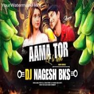 Aama Tor Ke La Dehu (Cg Song) DJ Nagesh Bks