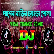 Pasher Barir Chengra Pola - Dj Sweety Tiktok Viral Trance Remix