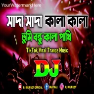 Shada Shada Kala Kala - Dj Dilip Roy ReMix