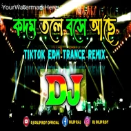 Kodom Tole Bose Ache (Remix)  Dj Dilip Roy