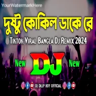 Dustu Kokil Dake Re - Dj Remix