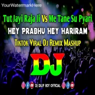 Tut Jayi Raja Ji Vs Me Tane Su Pyari   Hey Prabhu Hey Hariram - Dj Tiktok ReMix