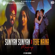 Suniyan Suniyan x Tere Naina Mashup SiDD iNSANEZ