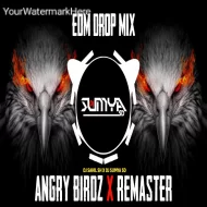 ANGRY BIRDZ X REMASTER - (EDM DROP MIX) DJ SAHIL SH X DJ SUMYA SD