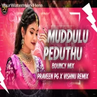 MUDDULU PEDUTU NEW FOLK SONG 2024 (BOUNCY MIX) BY PRAVEEN PG - VISHNU REMIX