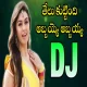 Thelu Kuttindha Dj Srivardhan Mix