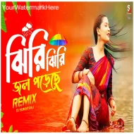 Tipik Tipik Jol Poriche - Remix Jhiri Jhiri Jol Poreche - Dj 2024 Purulia Dj Suman Raj