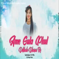 Ame Gulap Phol Dekhale Dhana Re  (Sambalpuri Dance Mix) Dj Nrupa Razz