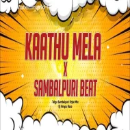 Kaathu Mela X Paal Dabba Sambalpuri Style Mix