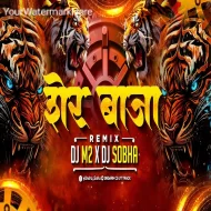 Sher Baja - Dance Remix - Dj M2 Kanker x Dj Sobha