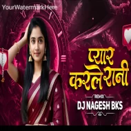 Pyar Karle Rani Aage Jaad Ke Mahina (Dj Song) DJ Nagesh Bks