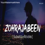 Zohrajabeen (Slowed Reverb) B Praak