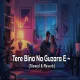 Tere Bina Na Guzara E - (Slowed Reverb)