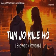 Tum Jo Mile Ho - Vishal Mishra (Slowed Reverb)