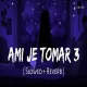 Ami Je Tomar 3.0 - Shreya Ghoshal (Slowed Reverb)