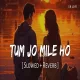 Tum Jo Mile Ho - Vishal Mishra (Slowed Reverb)