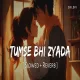 Tumse Bhi Zyada Tumse Pyar Kiya - Arijit Singh (Slowed Reverb)