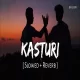 Kasturi - Arijit Singh (Slowed Reverb)