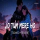 Jo Tum Mere Ho - Anuv Jain (Slowed Reverb)