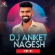 DJ Aniket & Nagesh