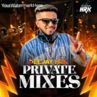 DEEJAY HRK PRIVATE MIXES Vol -2 (2025)