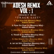 ADESH REMIX VOL - 1 Album (2024-25)