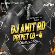 DJ AMIT RD PRIVET CD - 4 Album Pack 2024-25