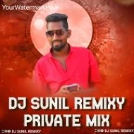 SUNIL REMIXY PRIVATE Album (2024)