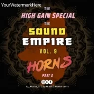 DJ KSR REMIX HORNS PART 2 Album