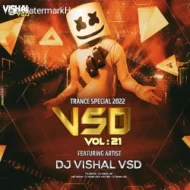 VSD VOL - 21 ( DJ VISHAL VSD ) (2024-25)