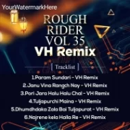 ROUGH RIDER VOL 35 - VH Remix Album 2k25 