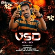 VSD VOL - 20 ( DJ VISHAL VSD ) Album 2k24 