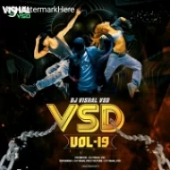 VSD VOL- 19 DJ VISHAL VSD Album