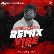 REMIX VIBE VOL 03 - DJ APPU SR (Album 2k24)