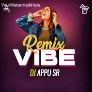 REMIX VIBE - DJ APPU SR (THE ALBUM)