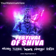 Festival Of Shiva The Album