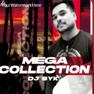 Mega Collection - DJ SYK