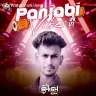 PUNJABI VIBES VOL 1 - DJ SHISH