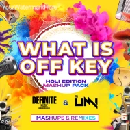 WHAT IS OFF KEY (HOLI EDITION)-THE ALBUM - 2025