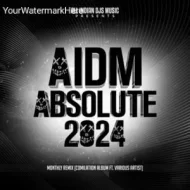 AIDM ABSOLUTE (VOL.3) - COMPILATION ALBUM FEAT. VARIOUS ARTIST