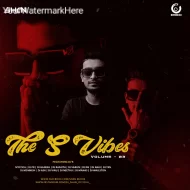 THE S VIBES VOL - 3 - ALBUM