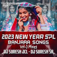 NEW YEAR SPCL MIXES 2K25 - ALBUM