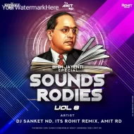 SOUND RODIES VOL 8 - DJ SANKET ND - ALBUM 2025